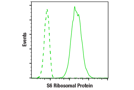 Flow Cytometry Image 1: S6 Ribosomal Protein (54D2) Mouse Monoclonal Antibody