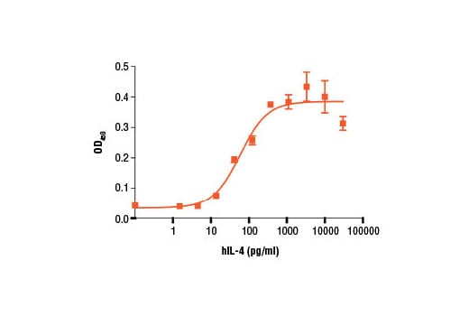 undefined Image 1: Human IL-4 Neutralizing (D20H1) Rabbit mAb