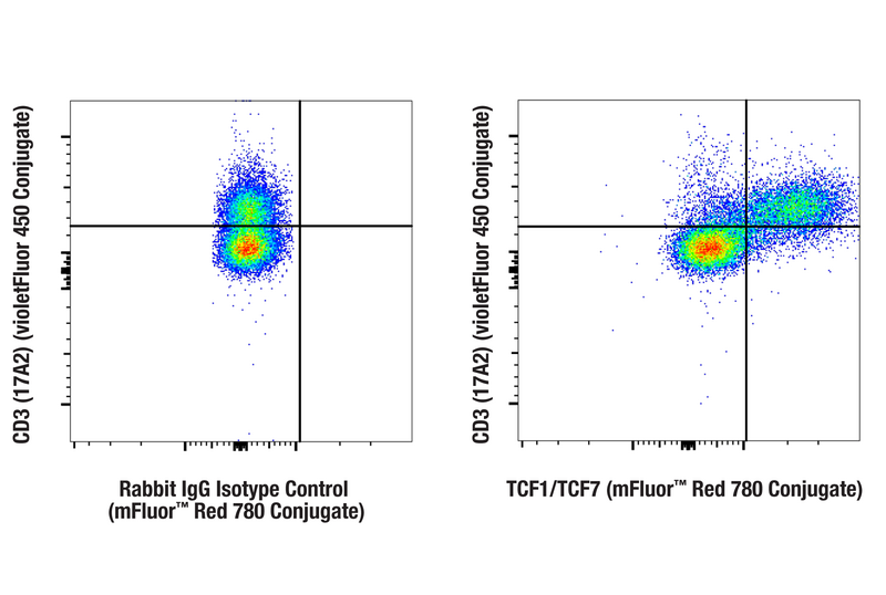 Flow cytometric analysis of fixed/permeabilized mouse splenocytes using TCF1/TCF7 (C63D9) Rabbit mAb (mFluor™ Red 780 Conjugate) (right) or concentration-matched Rabbit (DA1E) mAb IgG XP® Isotype Control (mFluor™ Red 780 Conjugate) #79088 (left), co-stained with CD3 (17A2) Rat mAb (violetFluor 450 Conjugate) #38527.