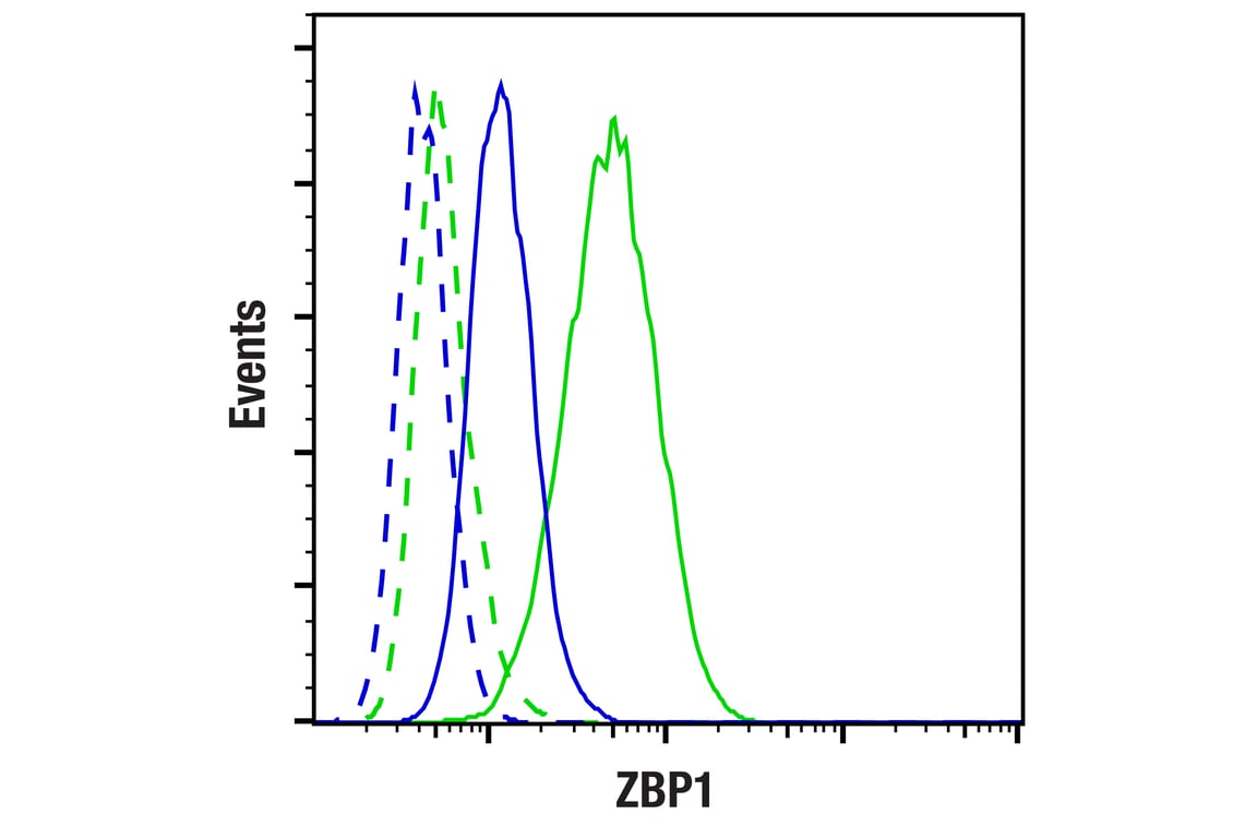 Flow Cytometry Image 2: ZBP1 (E6H8F) Rabbit Monoclonal Antibody (BSA and Azide Free)
