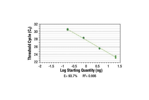 Chromatin Immunoprecipitation Image 2: SimpleChIP<sup>®</sup> Human HoxA2 Promoter Primers