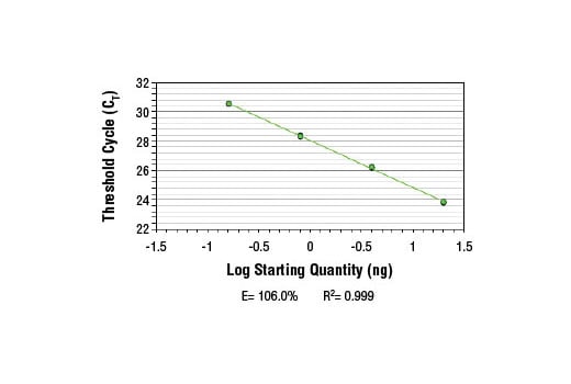 Chromatin Immunoprecipitation Image 2: SimpleChIP<sup>®</sup> Mouse MEST Intron 1 Primers