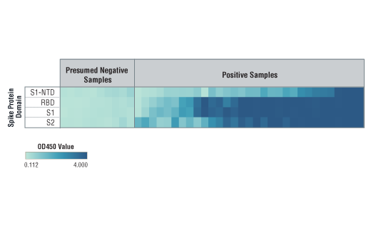 ELISA Image 9: SARS-CoV-2 Spike Protein Multi-Domain (S1-NTD, RBD, S1, S2) Serological IgG ELISA Kit