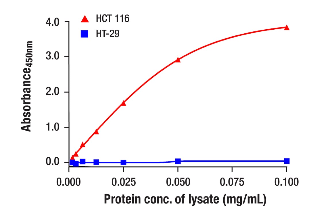 SMAD4 (D3R4N) XP® Rabbit mAb (BSA and Azide Free) (#73885