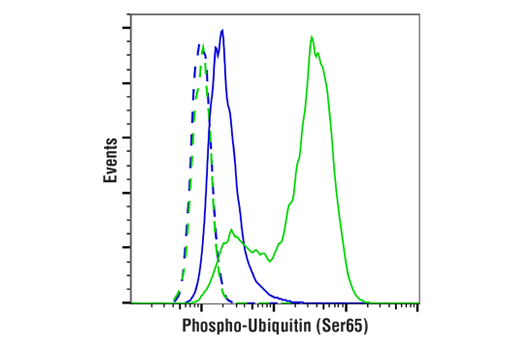 Flow Cytometry Image 1: Phospho-Ubiquitin (Ser65) (E5T1W) Rabbit Monoclonal Antibody