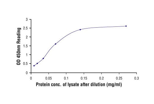 ELISA Image 2: PathScan<sup>®</sup> Phospho-Stat3 (Tyr705) Sandwich ELISA Kit