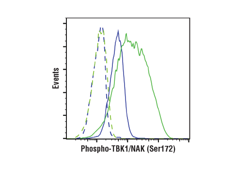 undefined Image 34: Xenophagy Antibody Sampler Kit