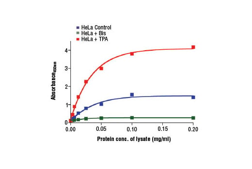 ELISA and/or ELISA-like Assays Image 2: PathScan<sup>®</sup> Phospho-MARCKS (Ser152/156) Sandwich ELISA Kit