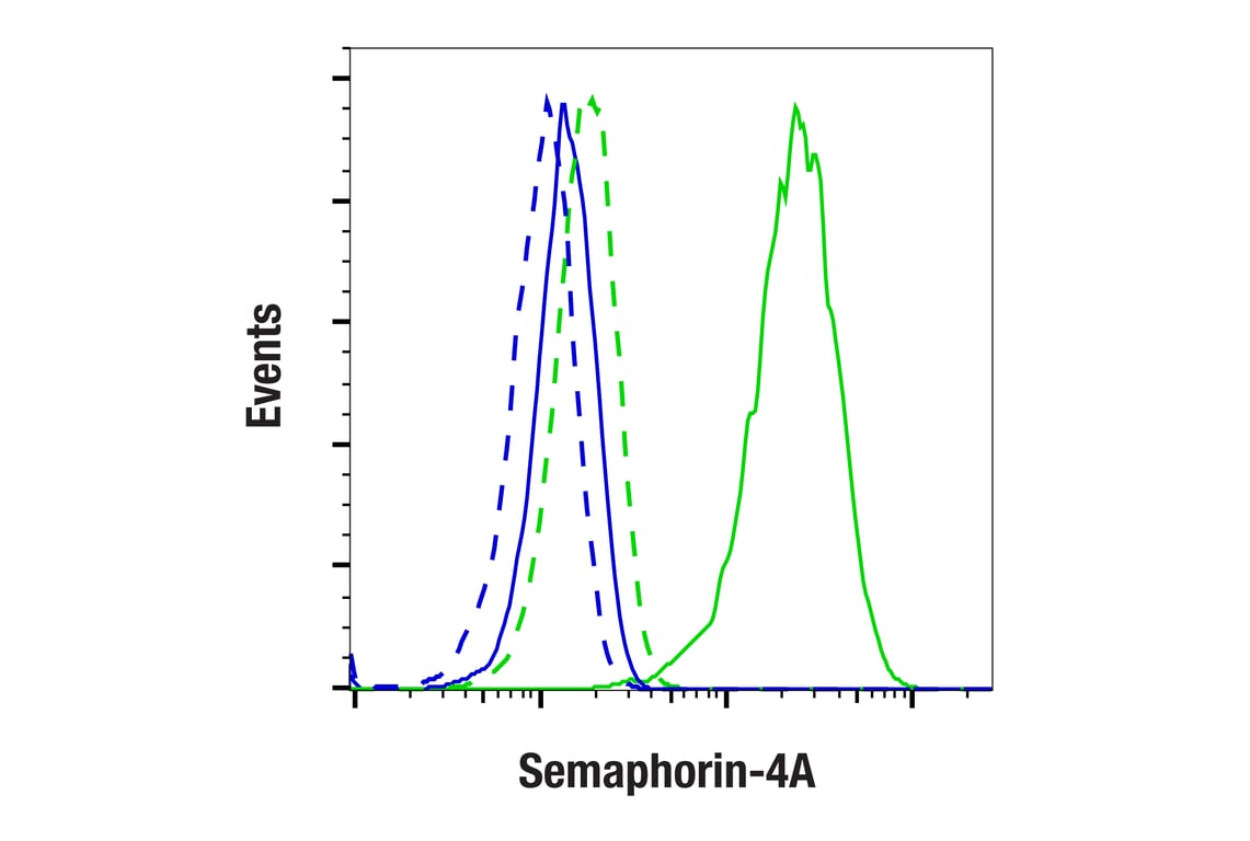 Flow Cytometry Image 1: Semaphorin-4A (E5N3K) Rabbit Monoclonal Antibody (BSA and Azide Free)