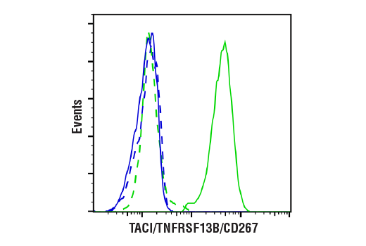 Flow Cytometry Image 3: TACI/TNFRSF13B/CD267 (E1D1P) Rabbit Monoclonal Antibody