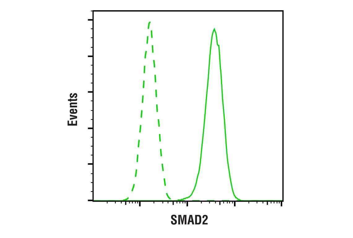 undefined Image 18: SMAD2/3 Antibody Sampler Kit