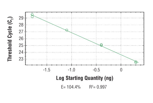Chromatin Immunoprecipitation Image 2: SimpleChIP<sup>®</sup> Human NFE2L2 Intron 1 Primers