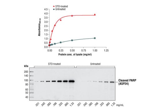ELISA Image 2: PathScan<sup>®</sup> Cleaved PARP (Asp214) Sandwich ELISA Kit