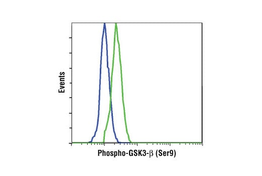 undefined Image 31: Insulin/IGF-1 Signaling Pathway Antibody Sampler Kit