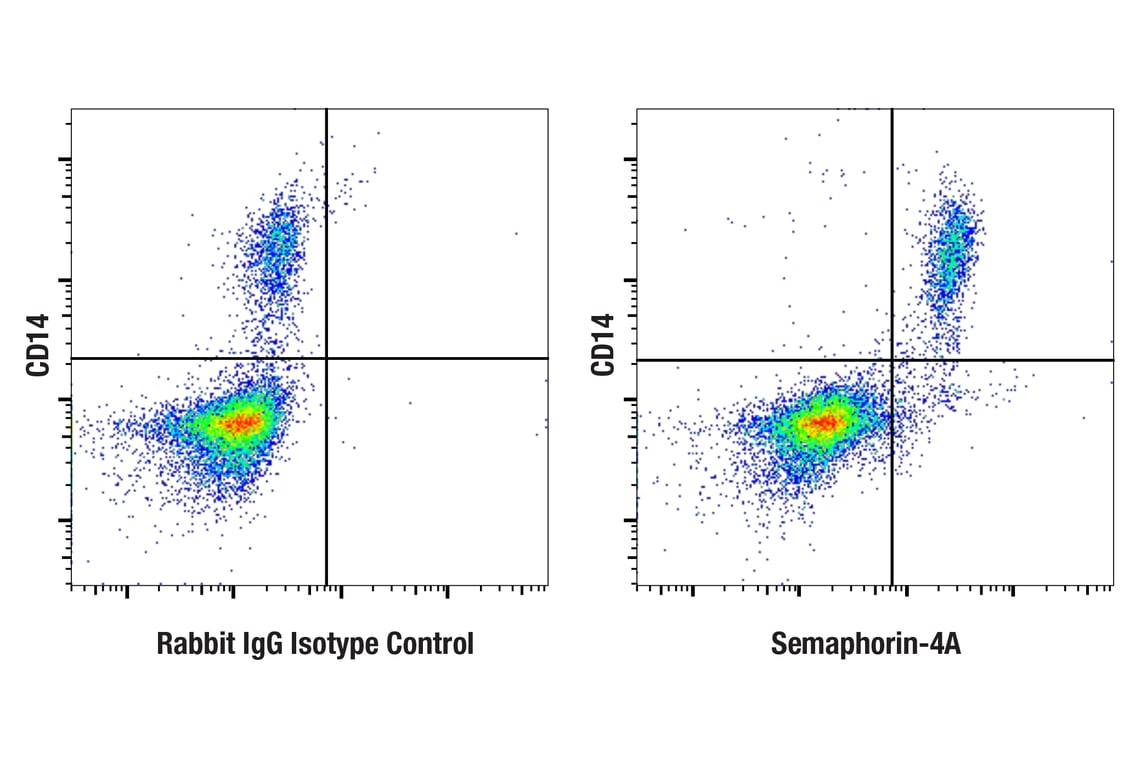 Flow Cytometry Image 2: Semaphorin-4A (E5N3K) Rabbit Monoclonal Antibody (BSA and Azide Free)