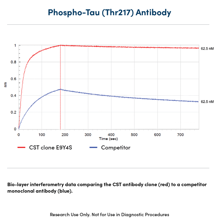 Graph comparing binding properties of a phospho-Tau antibody from CST with that of a leading competitor antibody. 