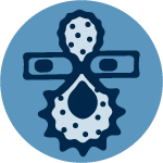 Icon of a tumor cell squeezing between the junction of endothelial cells lining a blood vessel.