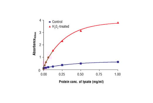 ELISA Image 2: PathScan<sup>®</sup> Phospho-Acetyl-CoA Carboxylase (Ser79) Sandwich ELISA Kit