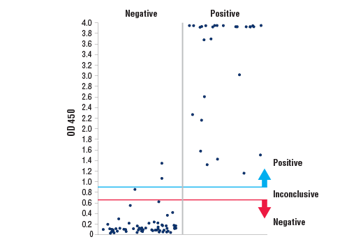 ELISA Image 4: SARS-CoV-2 Spike Protein Serological IgG ELISA Kit