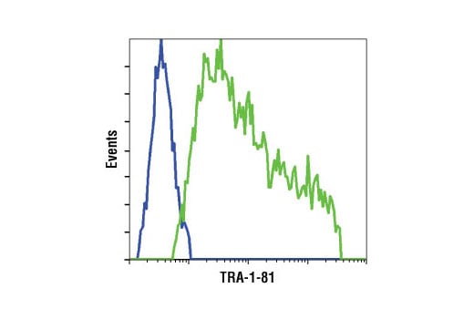 Flow Cytometry Image 1: TRA-1-81 (TRA-1-81) Mouse Monoclonal Antibody