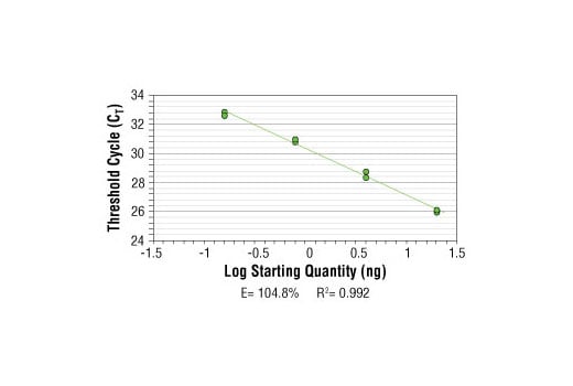 Chromatin Immunoprecipitation Image 2: SimpleChIP<sup>®</sup> Human Timeless Intron 1 Primers