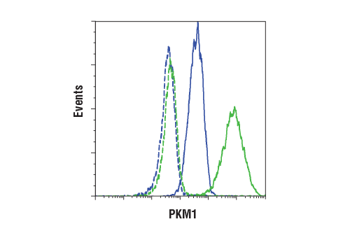 Flow Cytometry Image 1: PKM1 (D30G6) Rabbit Monoclonal Antibody (BSA and Azide Free)
