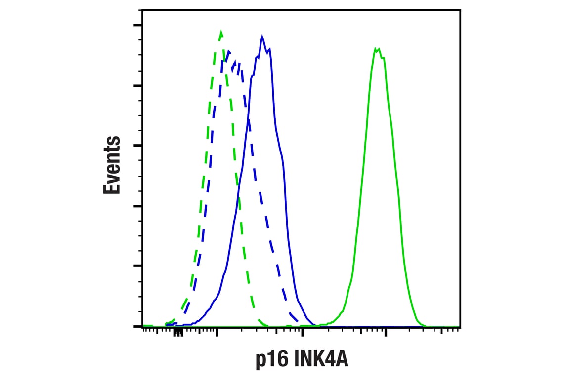 Flow Cytometry Image 1: p16 INK4A (F3I7K) Rabbit Monoclonal Antibody