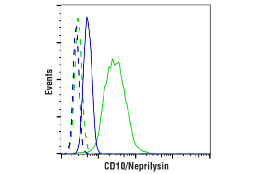 Flow Cytometry Image 1: CD10/Neprilysin (E5P7S) Rabbit Monoclonal Antibody (BSA and Azide Free)