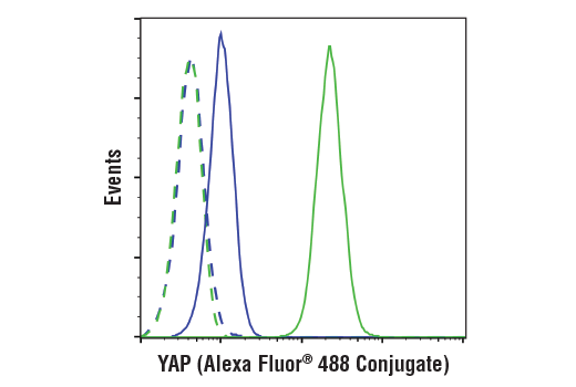 Flow Cytometry Image 1: YAP (D8H1X) Rabbit Monoclonal Antibody (Alexa Fluor<sup>®</sup> 488 Conjugate)