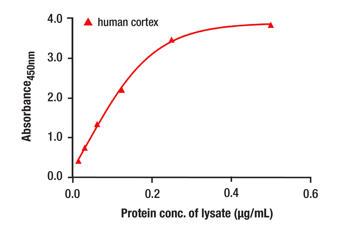 ELISA Image 2: PathScan<sup>®</sup> RP GFAP Sandwich ELISA Kit