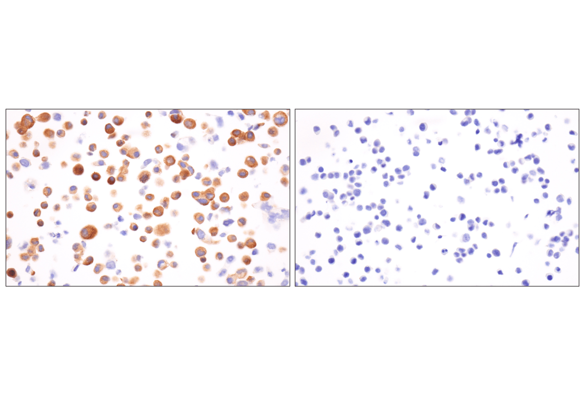 t@kページ ZX-T スマートセンサ 高精度接触タイプ/マニュアル