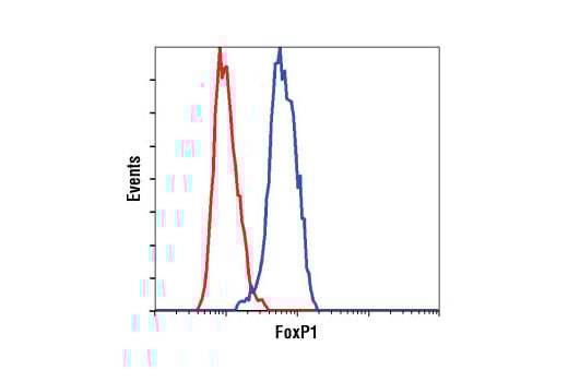 Flow Cytometry Image 1: FoxP1 (D35D10) Rabbit Monoclonal Antibody