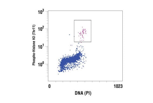 Flow Cytometry Image 1: Phospho-Histone H3 (Thr11) Antibody