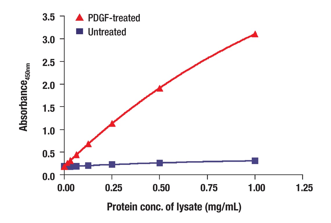ELISA and/or ELISA-like Assays Image 3: Phospho-p44/42 MAPK (Erk1/2) (Thr202/Tyr204) (D13.14.4E) Rabbit Monoclonal Antibody (BSA and Azide Free)