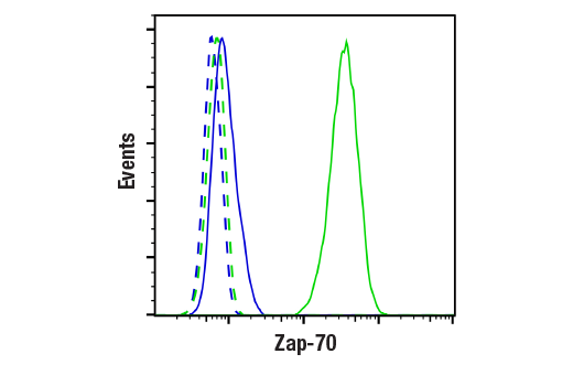 Flow Cytometry Image 1: Zap-70 (99F2) Rabbit Monoclonal Antibody