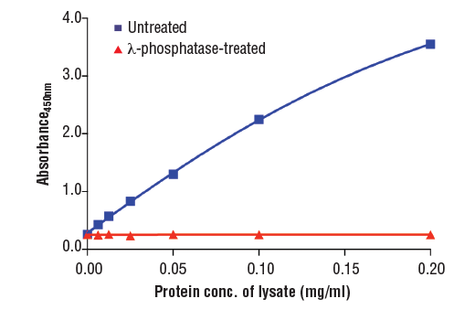 ELISA Image 2: PathScan<sup>®</sup> Phospho-YAP (Ser127) Sandwich ELISA Kit