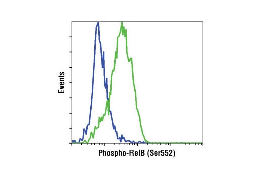 Flow Cytometry Image 1: Phospho-RelB (Ser552) (D41B9) Rabbit Monoclonal Antibody (BSA and Azide Free)