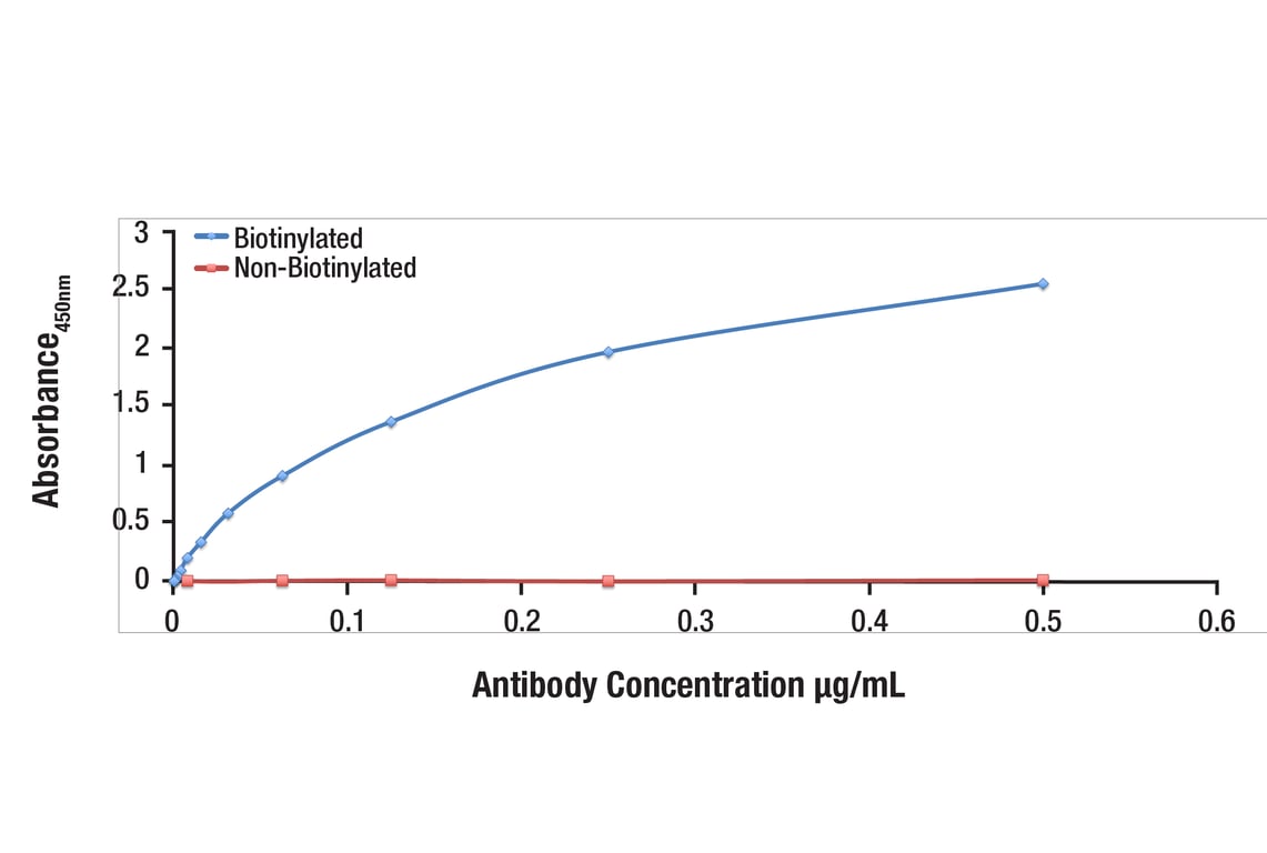 E Image 1: Phospho-eIF2 alpha (Ser51) (D9G8) Rabbit Monoclonal Antibody (Biotinylated)