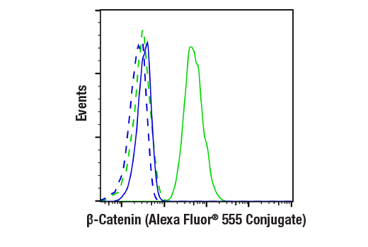 Flow Cytometry Image 1: beta-Catenin (D10A8) Rabbit Monoclonal Antibody (Alexa Fluor<sup>®</sup> 555 Conjugate)