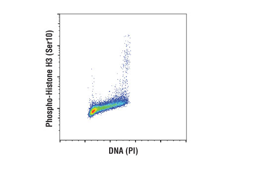 Flow Cytometry Image 1: Phospho-Histone H3 (Ser10) (D7N8E) Rabbit Monoclonal Antibody