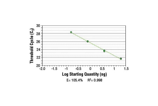 Chromatin Immunoprecipitation Image 2: SimpleChIP<sup>®</sup> Human HoxA1 Intron 1 Primers