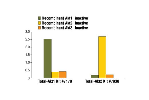 ELISA Image 2: PathScan<sup>®</sup> Total Akt2 Sandwich ELISA Kit
