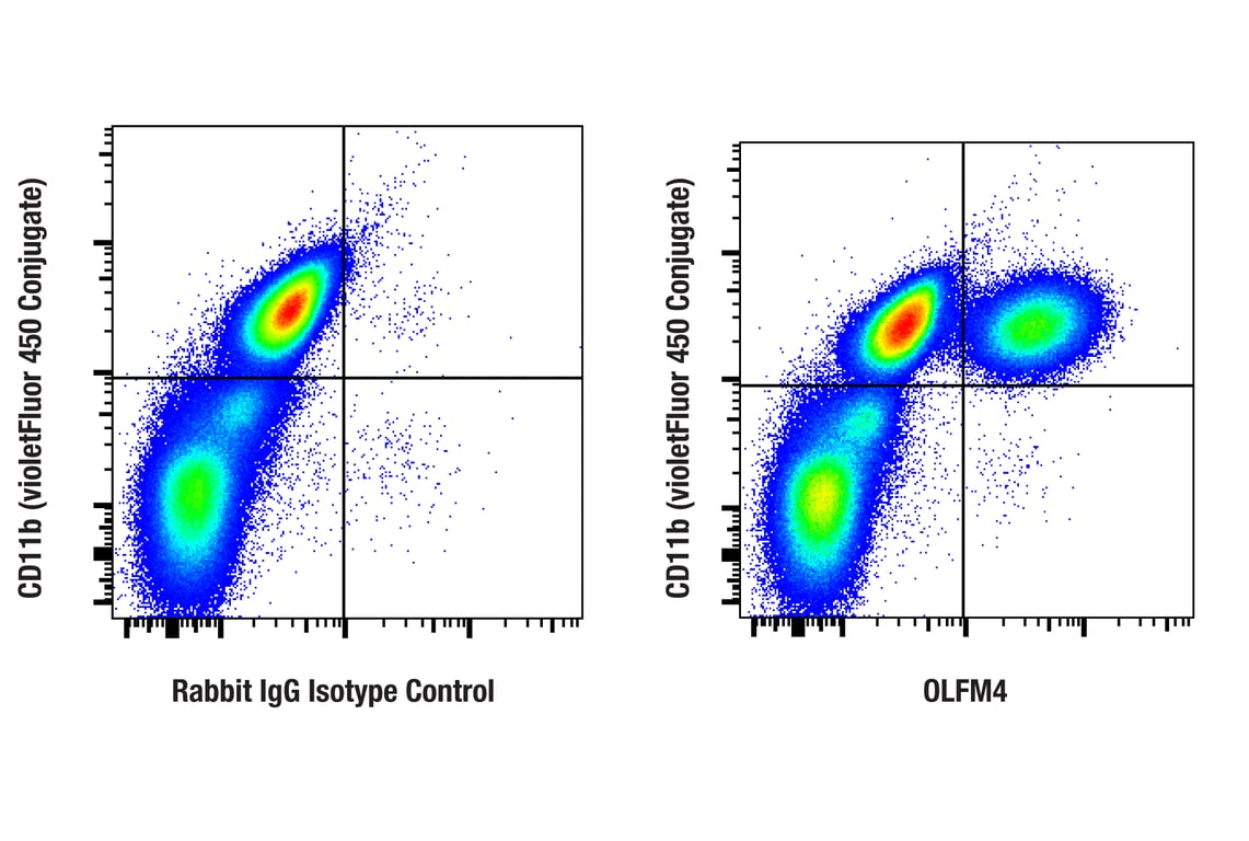 Flow Cytometry Image 1: OLFM4 (D1E4M) Rabbit Monoclonal Antibody