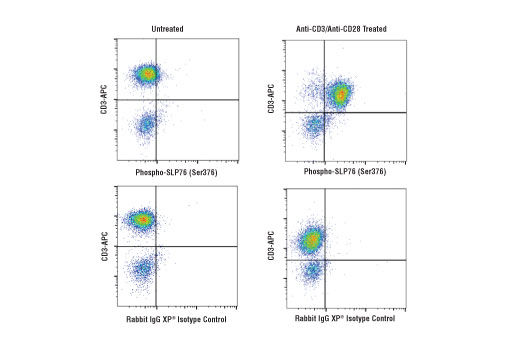 Flow Cytometry Image 1: Phospho-SLP-76 (Ser376) (D7S1K) Rabbit Monoclonal Antibody (BSA and Azide Free)