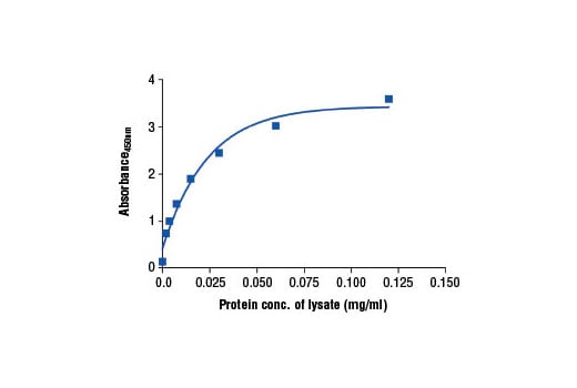 ELISA Image 2: PathScan<sup>®</sup> Total Caveolin-1 Sandwich ELISA Kit