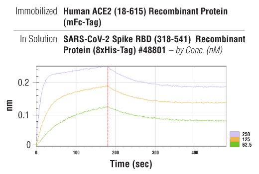undefined Image 3: Human ACE2 (18-615) Recombinant Protein (mFc-Tag)