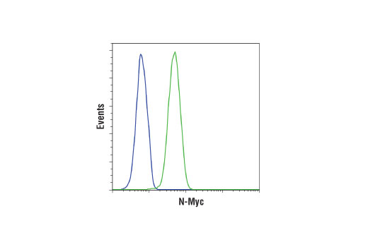 Flow Cytometry Image 1: N-Myc (D1V2A) Rabbit Monoclonal Antibody