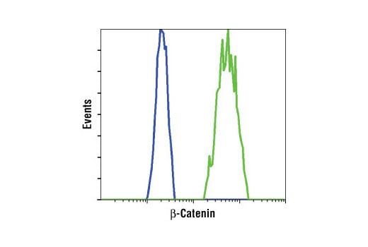 Flow Cytometry Image 1: beta-Catenin (L54E2) Mouse Monoclonal Antibody (BSA and Azide Free)