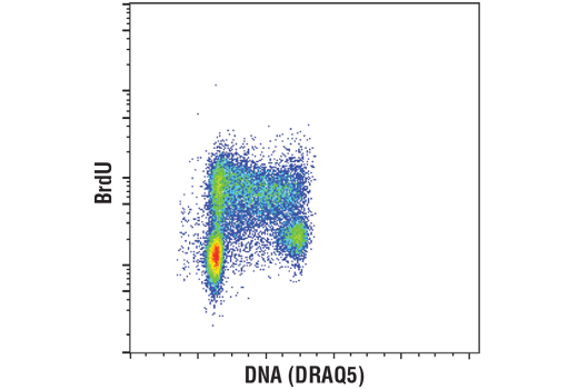 Flow Cytometry Image 1: BrdU (Bu20a) Mouse Monoclonal Antibody