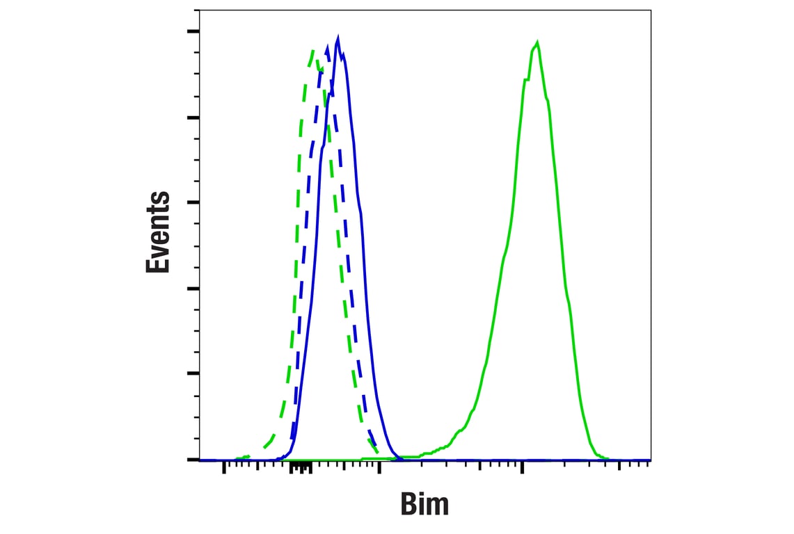 undefined Image 6: Pro-Apoptosis Bcl-2 Family Antibody Sampler Kit